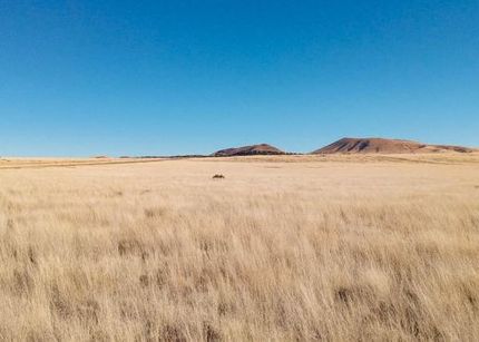 Land for sale in Apache County, Arizona