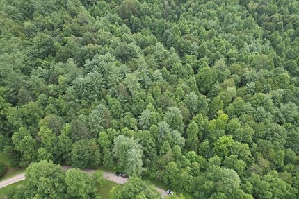 Farm and Ranch for sale in Wilkes County, North Carolina