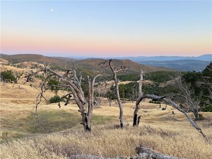 Undeveloped Land in Lake County, California