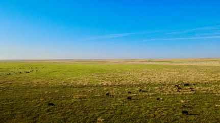 Farm and Ranch for sale in Oldham County, Texas