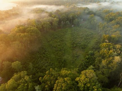 Land for sale in Worth County, Georgia