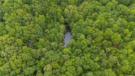 Undeveloped Land for sale in Hickman County, Tennessee