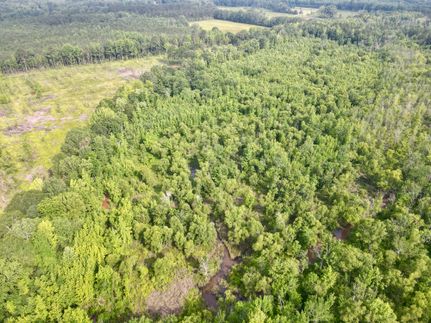 Undeveloped Land for sale in Attala County, Mississippi