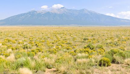 Land for sale in Costilla County, Colorado