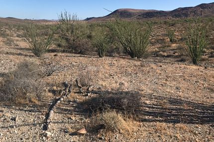 Farm and Ranch for sale in Mohave County, Arizona