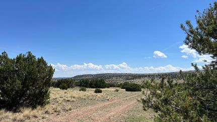 Recreational Property for sale in Catron County, New Mexico