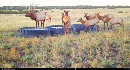 Undeveloped Land for sale in Pueblo County, Colorado