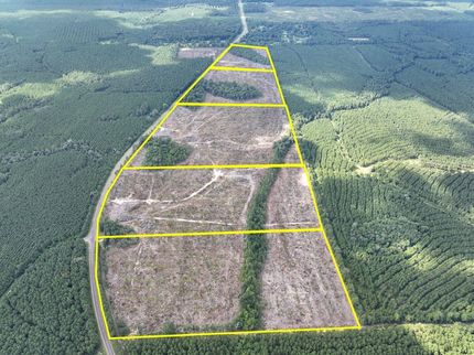 Undeveloped Land in Tyler County, Texas