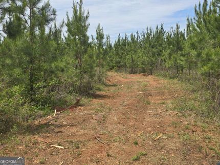 Hunting Property for sale in Schley County, Georgia