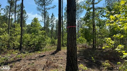 Recreational Property in Lee County, Alabama