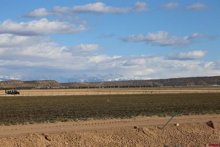 Timberland Property in Montrose County, Colorado