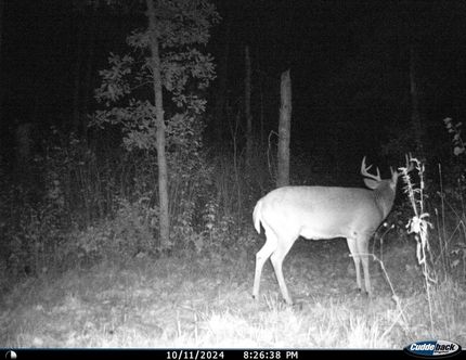 Farm and Ranch in Becker County, Minnesota