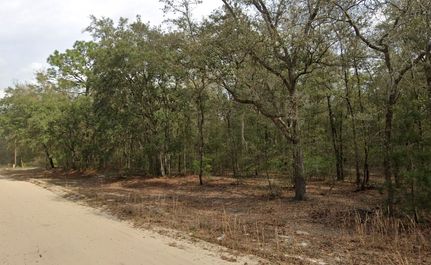 Farm and Ranch in Putnam County, Florida