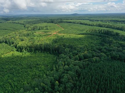Timberland Property for sale in Tallapoosa County, Alabama