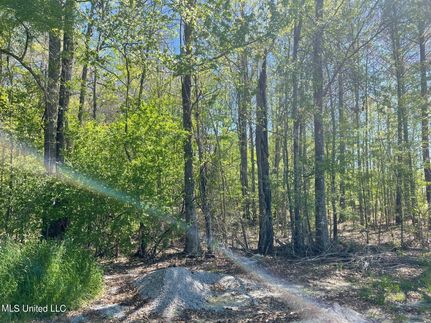 Land for sale in Rankin County, Mississippi