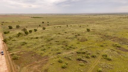 Undeveloped Land for sale in Terry County, Texas