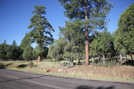 Homesite for sale in Coconino County, Arizona