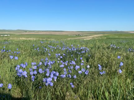 Recreational Property in Fergus County, Montana