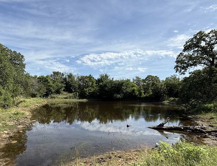 Land for sale in Jack County, Texas