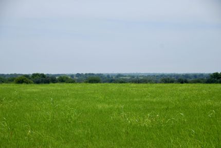 Undeveloped Land for sale in Fayette County, Texas