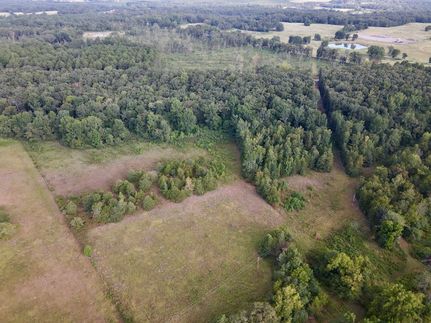 Timberland Property for sale in Conway County, Arkansas