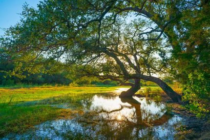 Farm and Ranch for sale in San Saba County, Texas