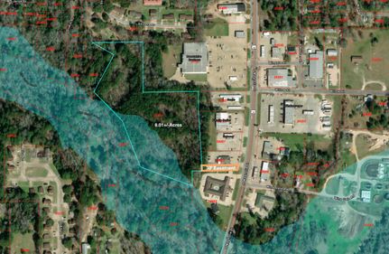 Land for sale in Tyler County, Texas