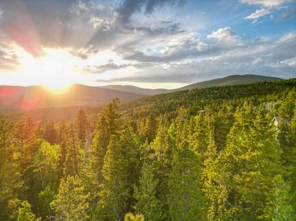Undeveloped Land in Gilpin County, Colorado