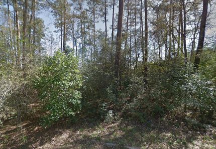 Undeveloped Land in Montgomery County, Texas