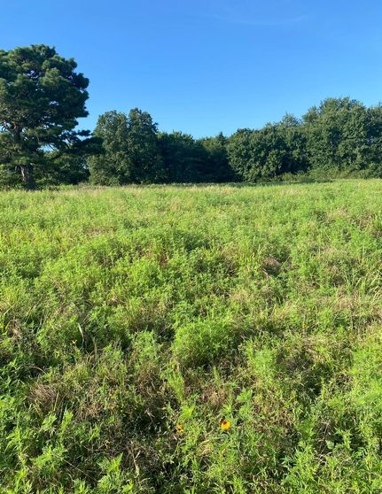 Land for sale in Haskell County, Oklahoma