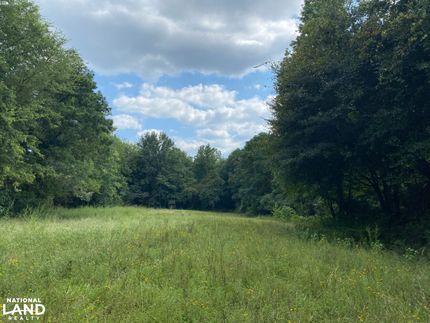 Hunting Property in Choctaw County, Alabama