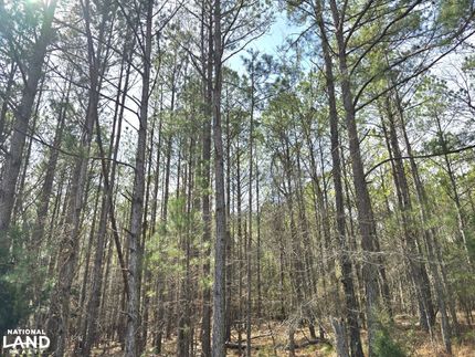 Recreational Property in Lowndes County, Alabama