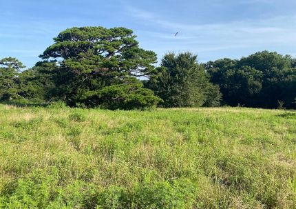 Hunting Property for sale in Haskell County, Oklahoma