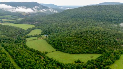 Undeveloped Land for sale in Newton County, Arkansas