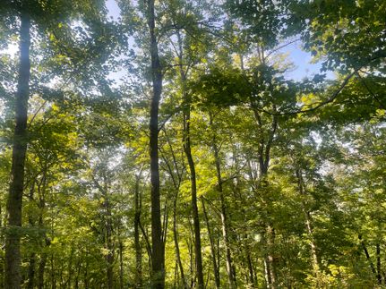 Recreational Property for sale in Dearborn County, Indiana