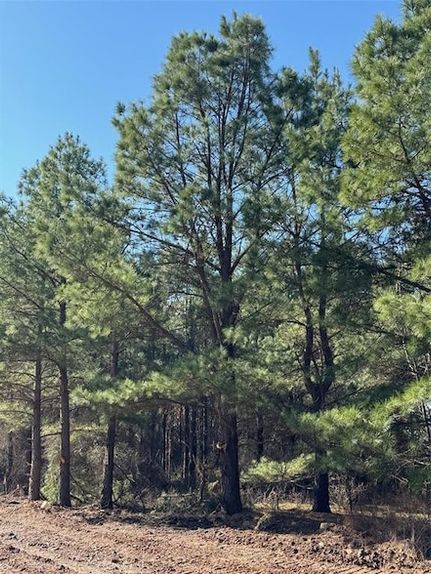 Land in McCurtain County, Oklahoma