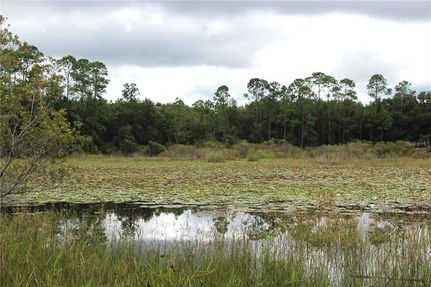 Undeveloped Land in Pasco County, Florida