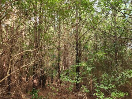 Farm and Ranch for sale in Tallapoosa County, Alabama