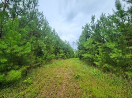 Recreational Property for sale in Tallapoosa County, Alabama