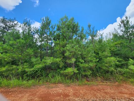 Timberland Property for sale in Tallapoosa County, Alabama