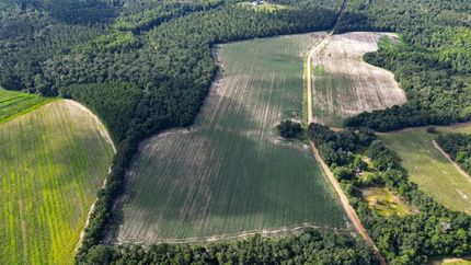Land for sale in Bulloch County, Georgia