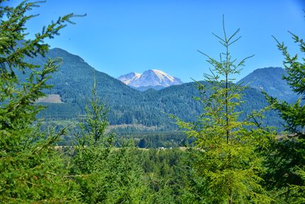Recreational Property for sale in Lewis County, Washington