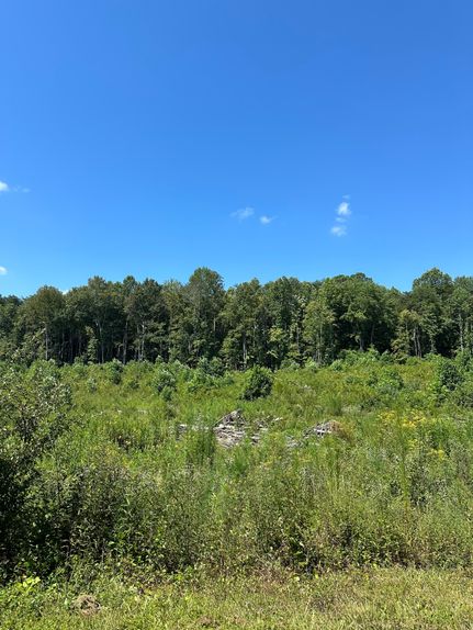 Land for sale in Marion County, Tennessee