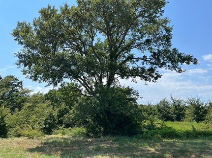 Homesite for sale in Pushmataha County, Oklahoma