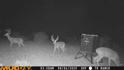 Farm and Ranch for sale in Val Verde County, Texas