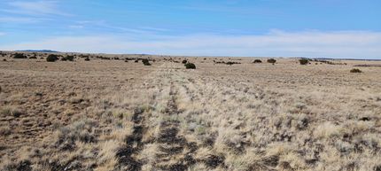 Land for sale in Apache County, Arizona
