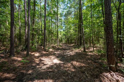 Recreational Property for sale in Tyler County, Texas
