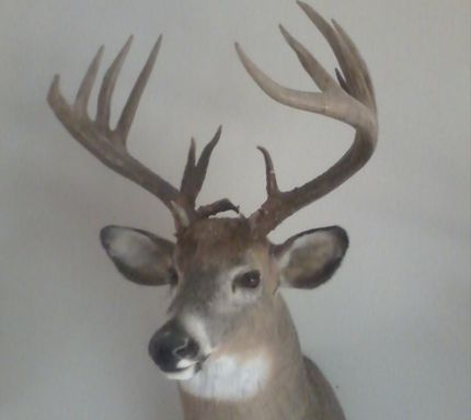 Farm and Ranch in Marinette County, Wisconsin