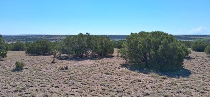Undeveloped Land for sale in Apache County, Arizona