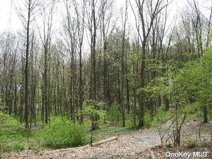 Homesite in Nassau County, New York